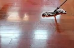 辦公區(qū)域保潔要注意哪些方面呢？