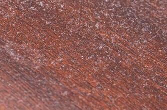 對于家里灰塵的清理，有什么方法嗎？