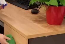 辦公區(qū)域保潔要做哪些呢？